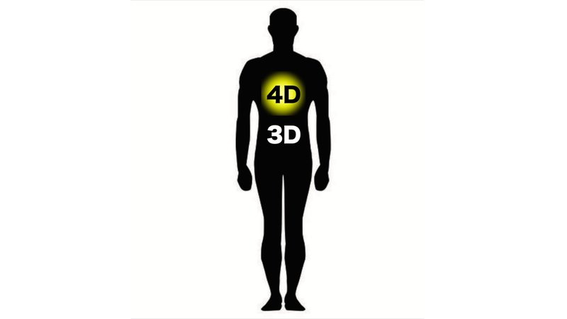 A Seeker's Guide to the Fourth Dimension